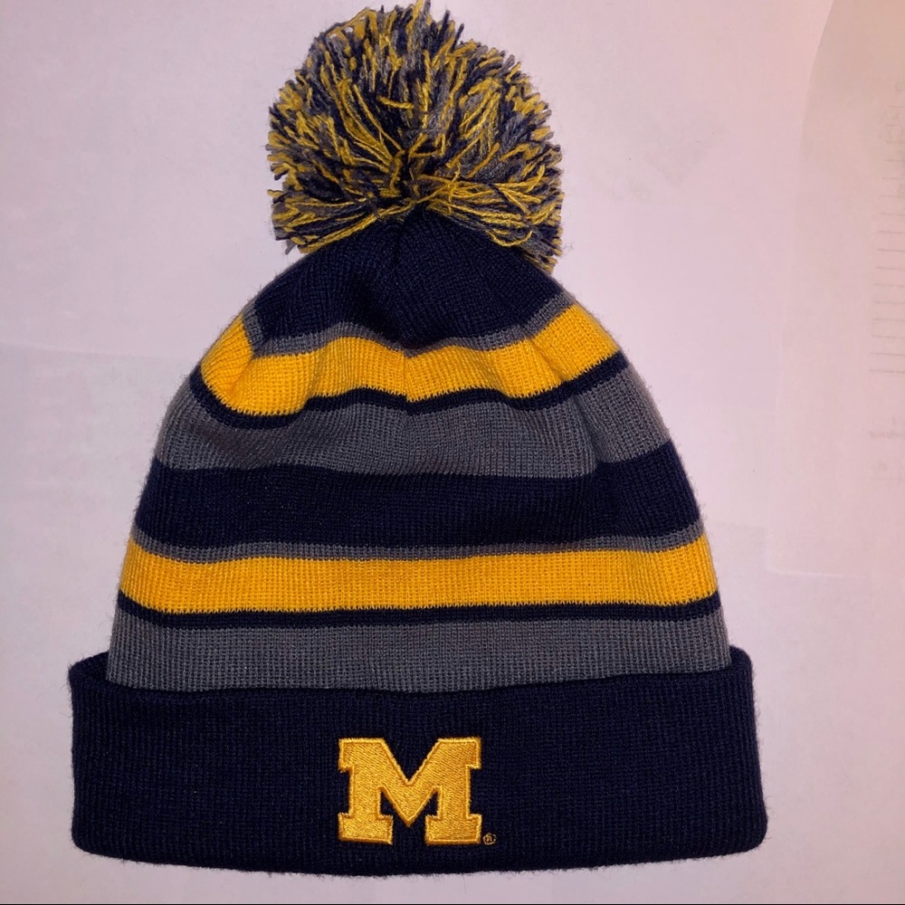 Michigan knit winter hat